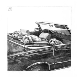 Графика. Оригинал.