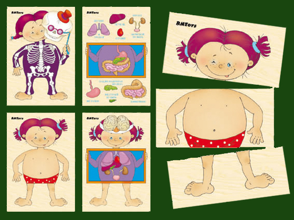 Картинки разрезные  "ЧЕЛОВЕК"