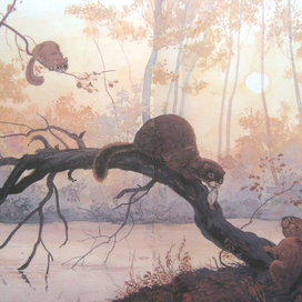 к Лесной азбуке