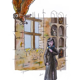 В совятне хогвартса