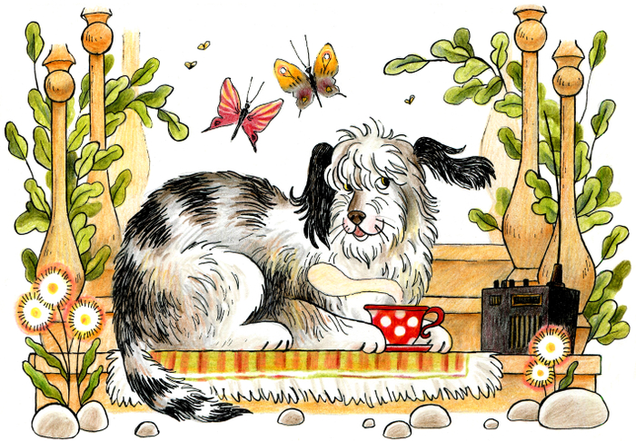 Кот Барбосный