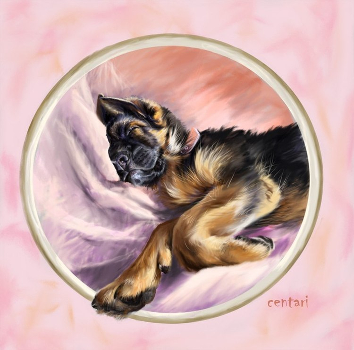 не будите спящую собаку-2, маленький Амур