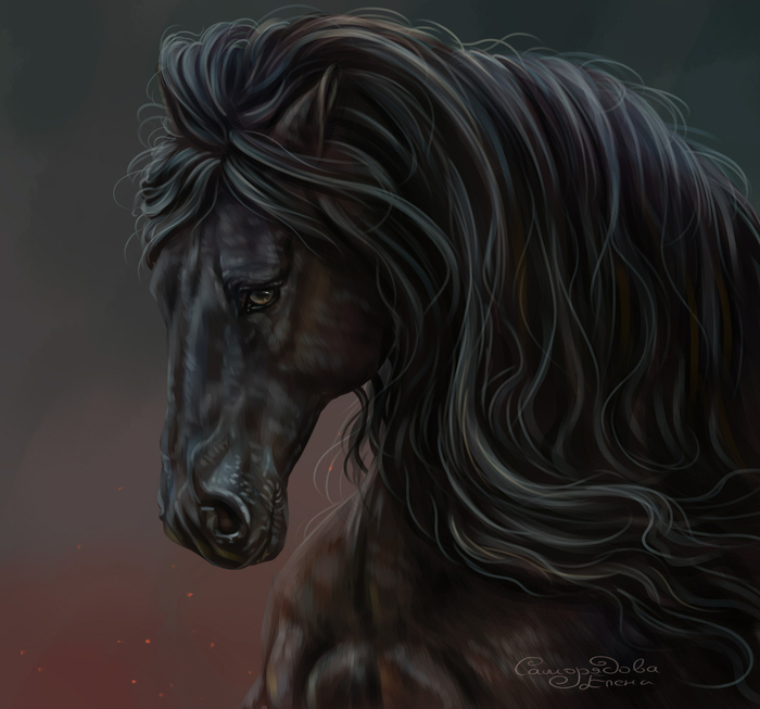 Вороной конь