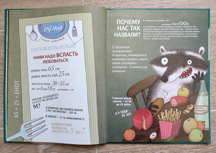 Чем хороши еноты