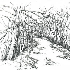 Осенний парк