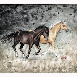 Вороной и соловый