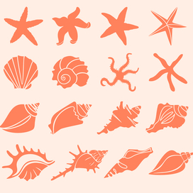 Иконки "Ракушки"