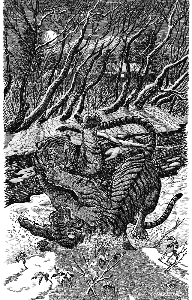 Ночная разборка кошаков.