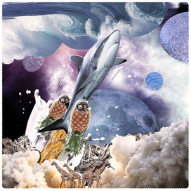 Первый полет в космос