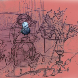 редкая птица на голове