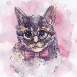 Кот интеллектуал