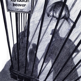 Саджо и ее бобры