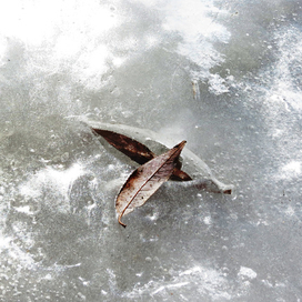 Замёрзшее небо ....