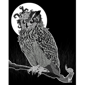 Сова Тэнтумус Тэнебрис