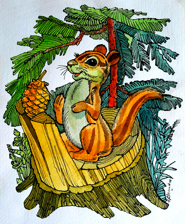 А загорулько.бурундук.