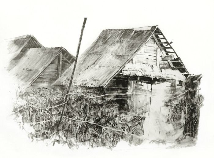 лето в деревне 