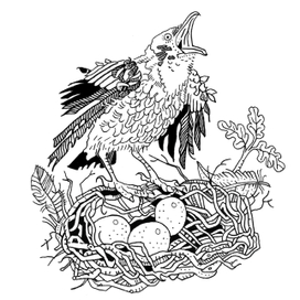 Лучший певчий. Сказка В. Даля.