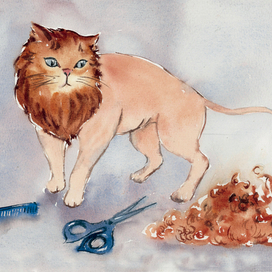 Стриженый кот