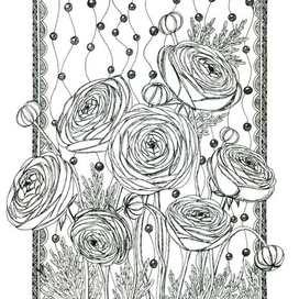 Ранункулюсы