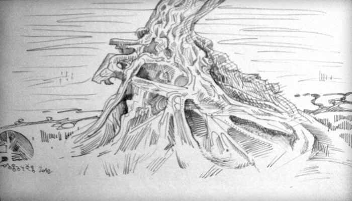 "Волжские корни".