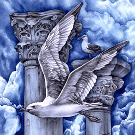 Чайка царь Эдип