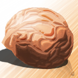 Грецкий орех