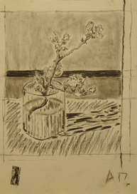 цветущая веточка миндалины