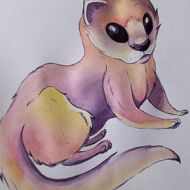 Норка. Путешествие по северному полюсу.