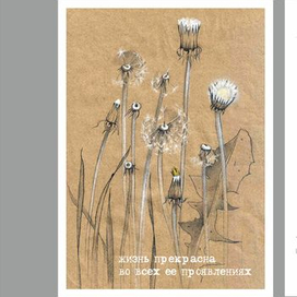 открытка "одуванчики"