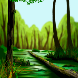 Swamp