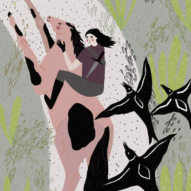 Avoid the black birds