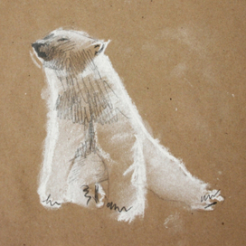 Медведица Комета