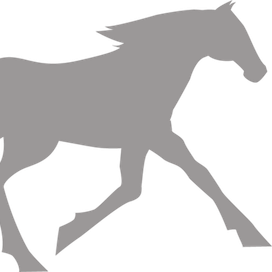 иконки для онлайн школы верховой езды