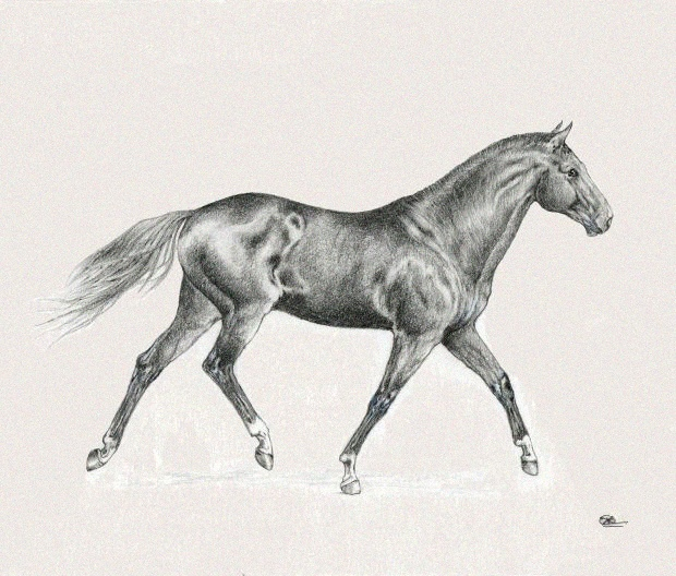 Budenov-horse