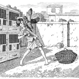 За лицо за яйцо.