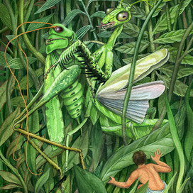 В. Брагин.,"В стране дремучих трав".