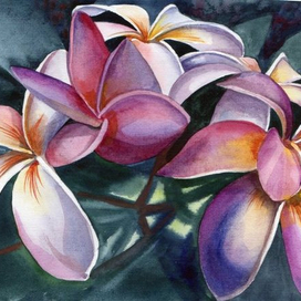 гавайские ароматы