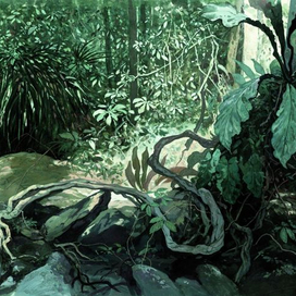 Упавшая лиана