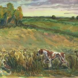 К рассказам  М. Пришвина