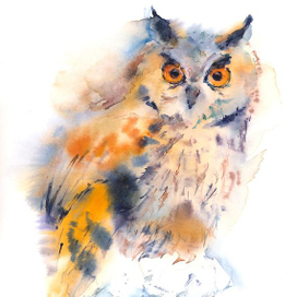 Ушастая сова