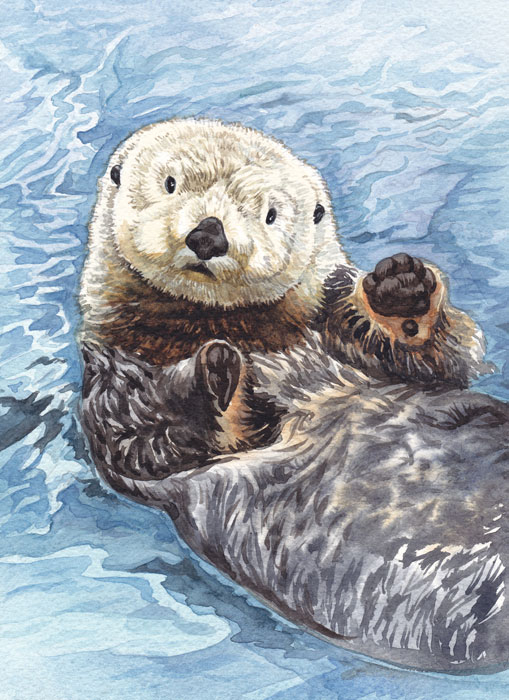 Калан  - камчатский бобр 