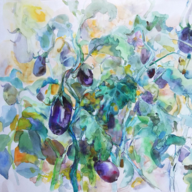 Урожайное баклажанное