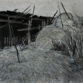 сено. в деревне