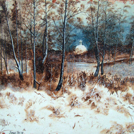 Зимняя прогулка за городом.