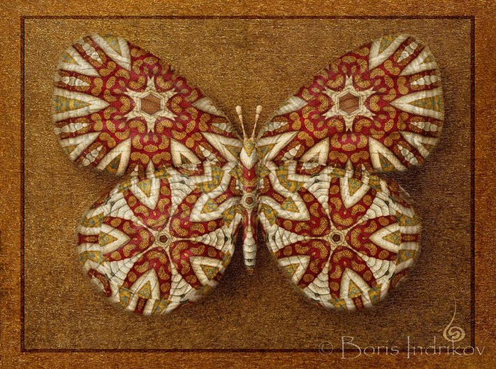 Symbol butterfly 15