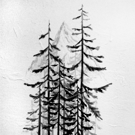 Туманный лес