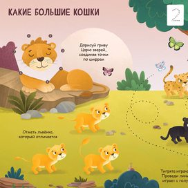 Джунгли. Разворот для книги