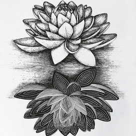 Другая сторона