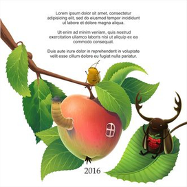 Выходные данные и  шмуцтитул 