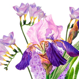 Букет с ирисом